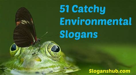 slogan about environmental health|117 Catchy Slogans on Environment With Pictures .